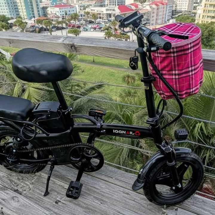 Electric Foldable Bicycle, 48V, 10Ah, 400W (Special order, North Florida, Local Pick-up/Delivery Only)