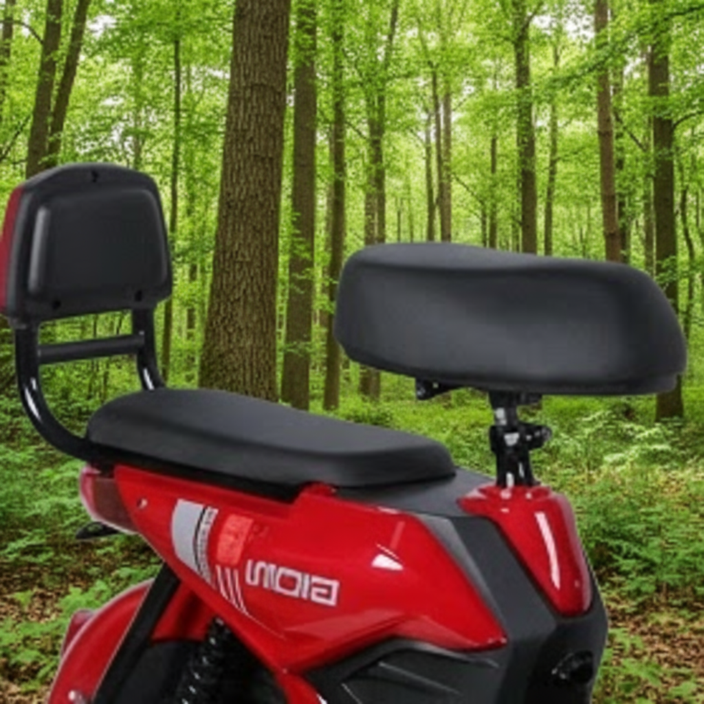 Electric City Bike/Moped Two Seats, 48V, 12Ah, 500W (Special order, Local Pick-up/Delivery Only, North Florida)