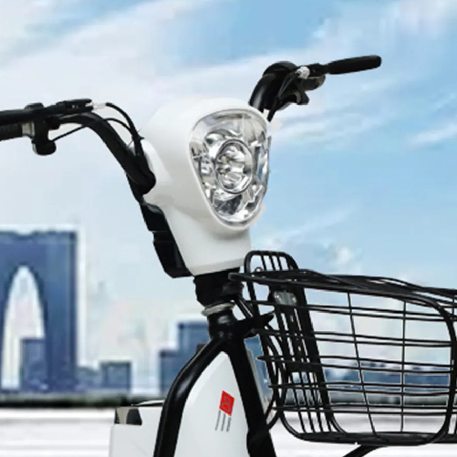 Electric City Bike/Moped Two Seats, 48V, 12Ah, 500W (Special order, Local Pick-up/Delivery Only, North Florida)